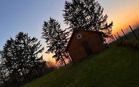 Domek Pod Świerkami